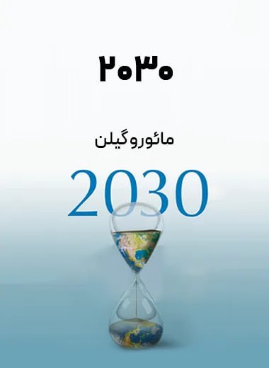 جلد کتاب 2030